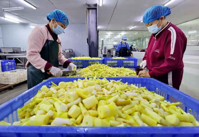 国家林草局：推动林草产业迭代升级，培育新产业新模式