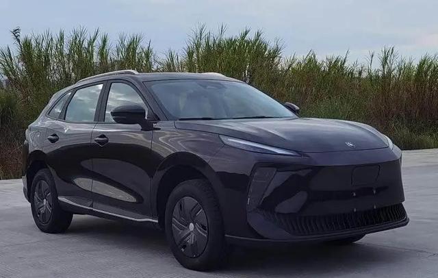 10款新车申报，定妆照，抢先看！