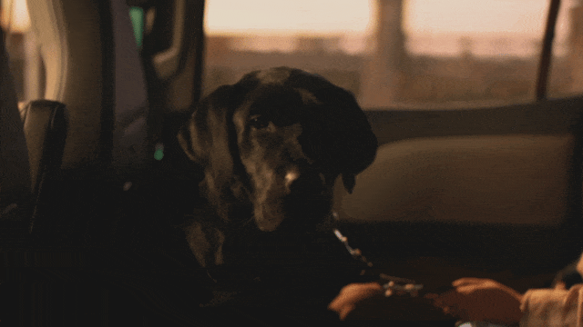 第一批担心被AI取代的人，已经尝到了AI的甜头