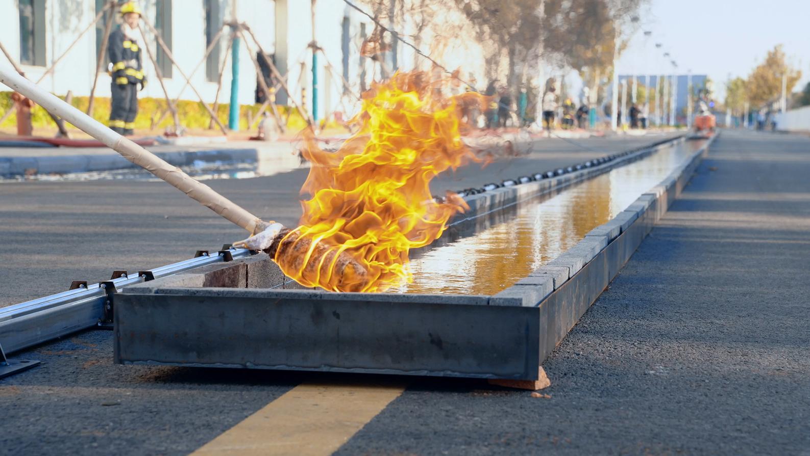 红旗车厂下的车标志__铁电池技术