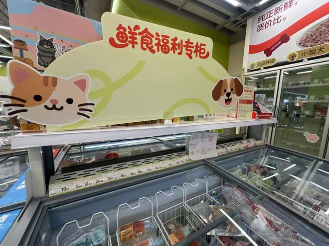 宠物店手绘_宠物店里的宠物怎么画_