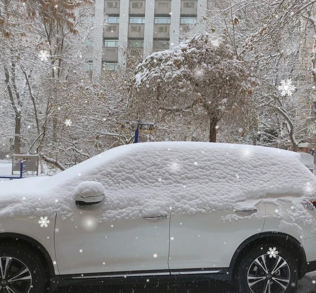 隐形车衣是保护神还是智商税？一年亲测花1.3万值不值