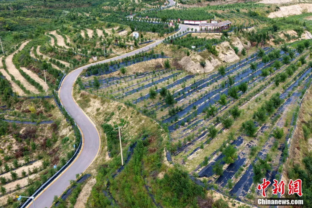 _睡不着的中国人，被这个小县城“拿捏”了_睡不着的中国人，被这个小县城“拿捏”了