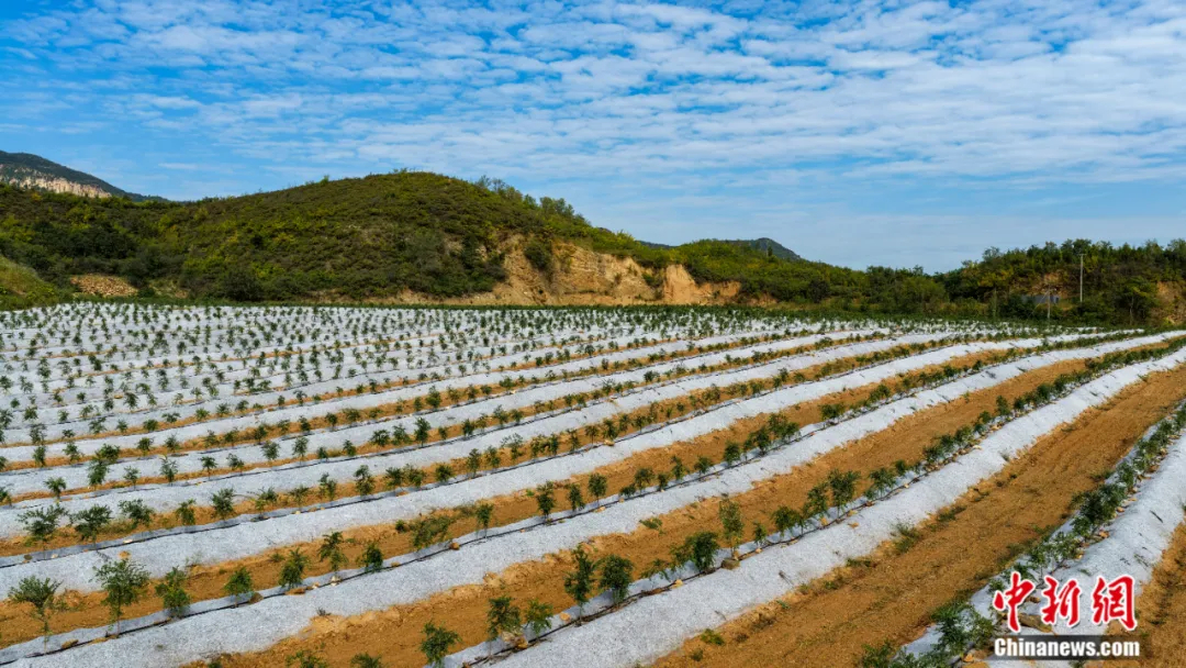 睡不着的中国人，被这个小县城“拿捏”了__睡不着的中国人，被这个小县城“拿捏”了