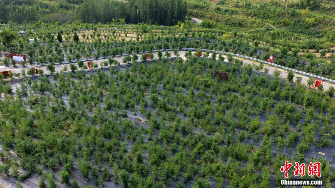 睡不着的中国人，被这个小县城“拿捏”了_睡不着的中国人，被这个小县城“拿捏”了_