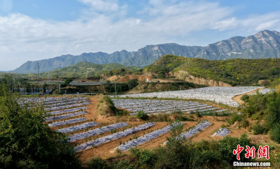 _睡不着的中国人，被这个小县城“拿捏”了_睡不着的中国人，被这个小县城“拿捏”了