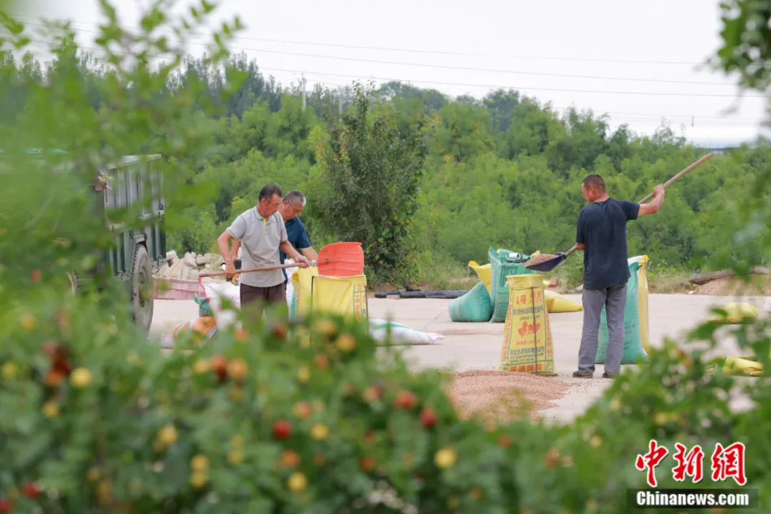 _睡不着的中国人，被这个小县城“拿捏”了_睡不着的中国人，被这个小县城“拿捏”了