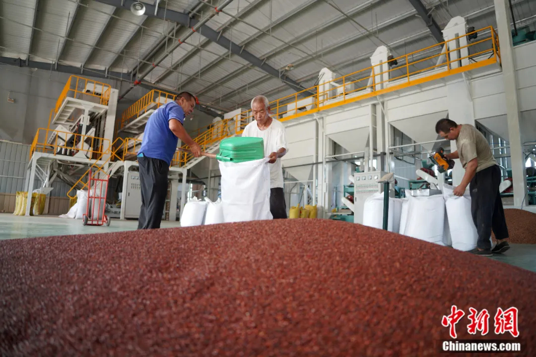 睡不着的中国人，被这个小县城“拿捏”了__睡不着的中国人，被这个小县城“拿捏”了