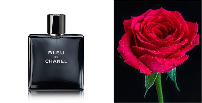 美丽说鹿晗还在代言吗__马斯克代言shib