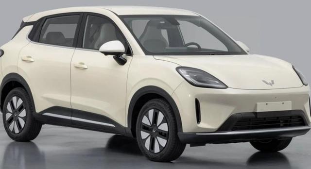 A0级纯电小车,也得讲安全!聊一聊五菱缤果S!-有驾