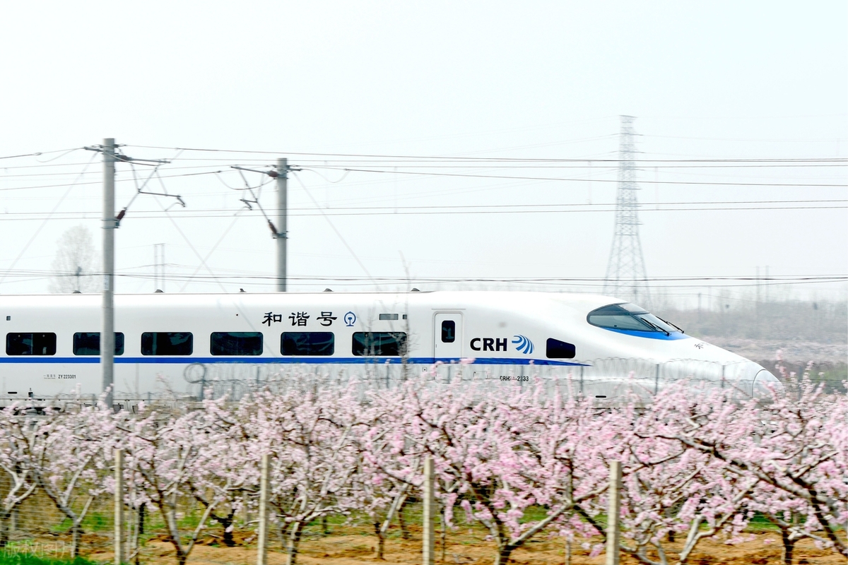 咱也太低调了！若非德媒报道，我都不知道，中国已有八大世界第一__咱也太低调了！若非德媒报道，我都不知道，中国已有八大世界第一