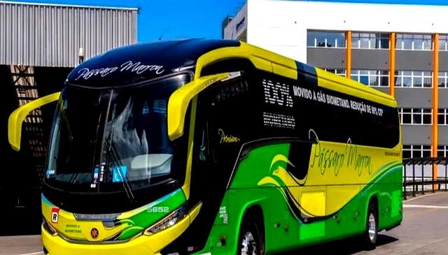 苦熬十年仅产600辆,比亚迪巴西新厂爆发:一年产能超过去11倍-有驾