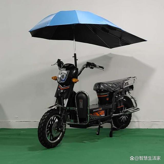 心遇电动摩托车怎么选？推荐几款人气座驾，高速长跑载重强满足多样需求-有驾