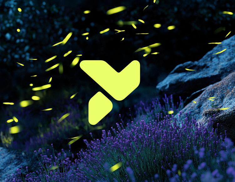 _小米汽车品牌名_小米旗下的汽车