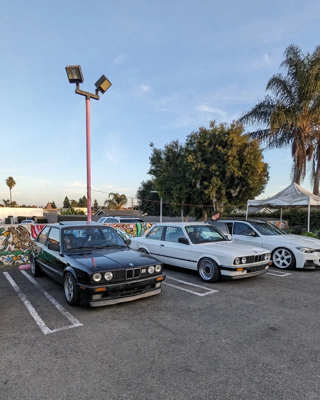 小红书中美汽车对账，才发现美国人对自己的车价这么不敏感