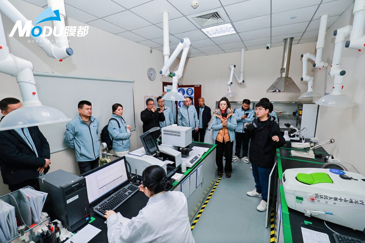 破界而来，膜力全开|膜都品牌启动大会暨招商启航仪式圆满举办__破界而来，膜力全开|膜都品牌启动大会暨招商启航仪式圆满举办