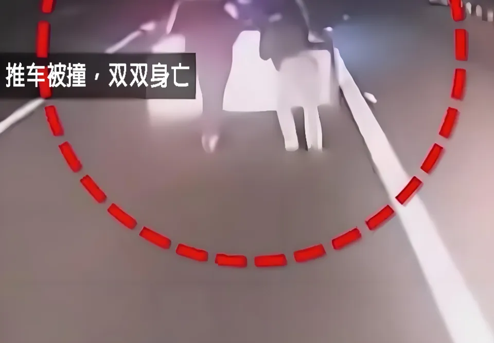 电动汽车高速亏电抛锚、两人竟在行车道上推车，结果双双被撞身亡