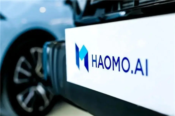 典范汽车_典范车什么意思_