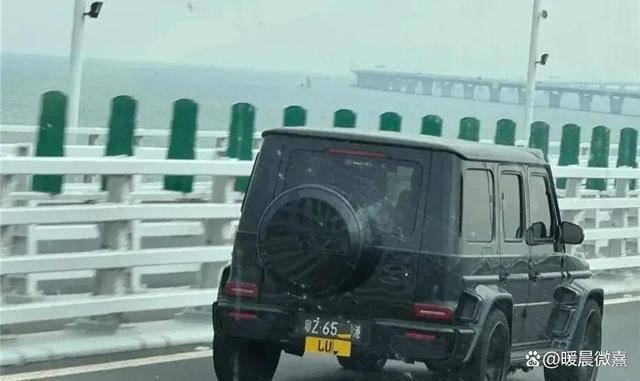 港珠澳大桥遇刘嘉玲驾奔驰，8缸动力尽显风采，他们家曾购入4辆