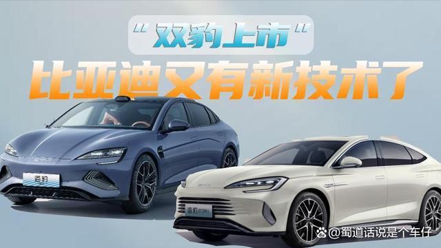 比亚迪销量猛增，新车型技术下放，竞争对手感压力-有驾