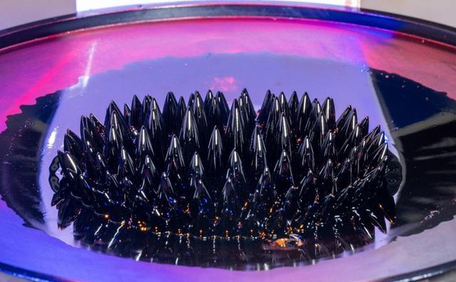 叫板BBA却被骂跪舔？底盘内卷里最刺眼的两副面孔-有驾