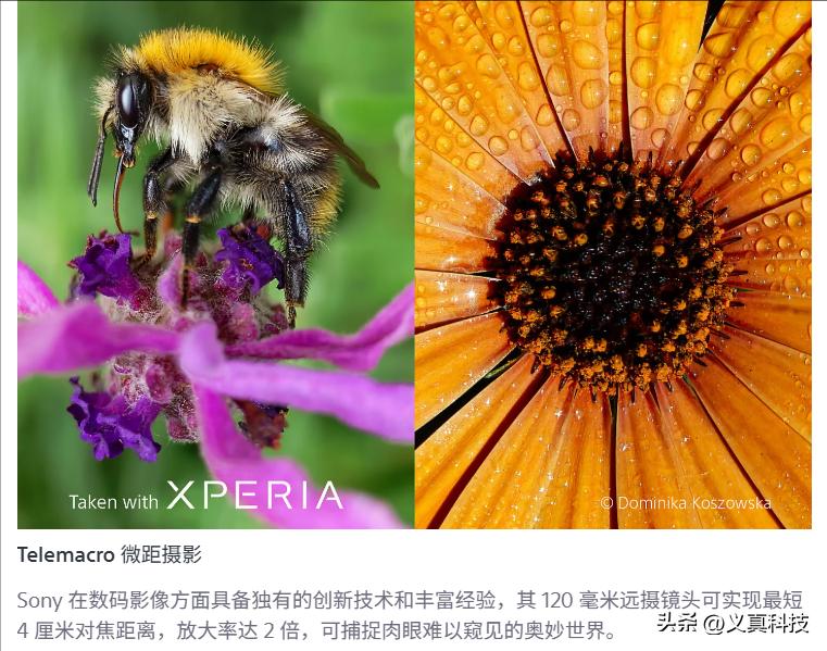 小米长焦微距镜头是什么意思__超长焦微距镜头