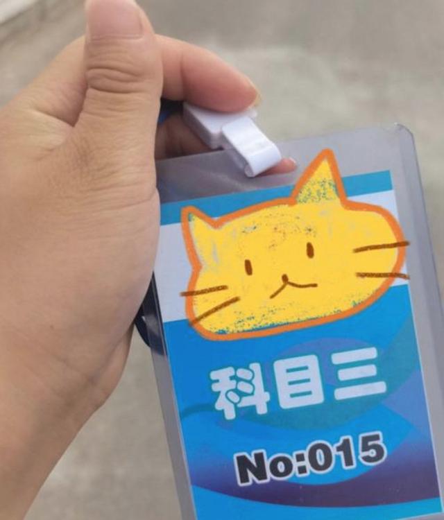 历时两个月的磨难终于接近了尾声，心里顿时轻松了很多，学车中的种种琢磨也终于见到成效，科目三顺利通过成就感爆棚-有驾