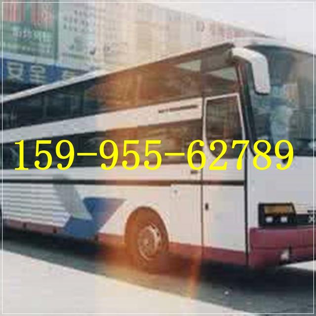 青浦 浦东 奉贤到紫云汽车时刻表今日还有吗