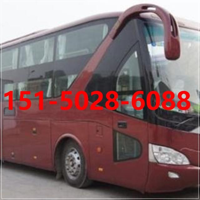 青浦 浦东 奉贤到紫云汽车时刻表今日还有吗-有驾