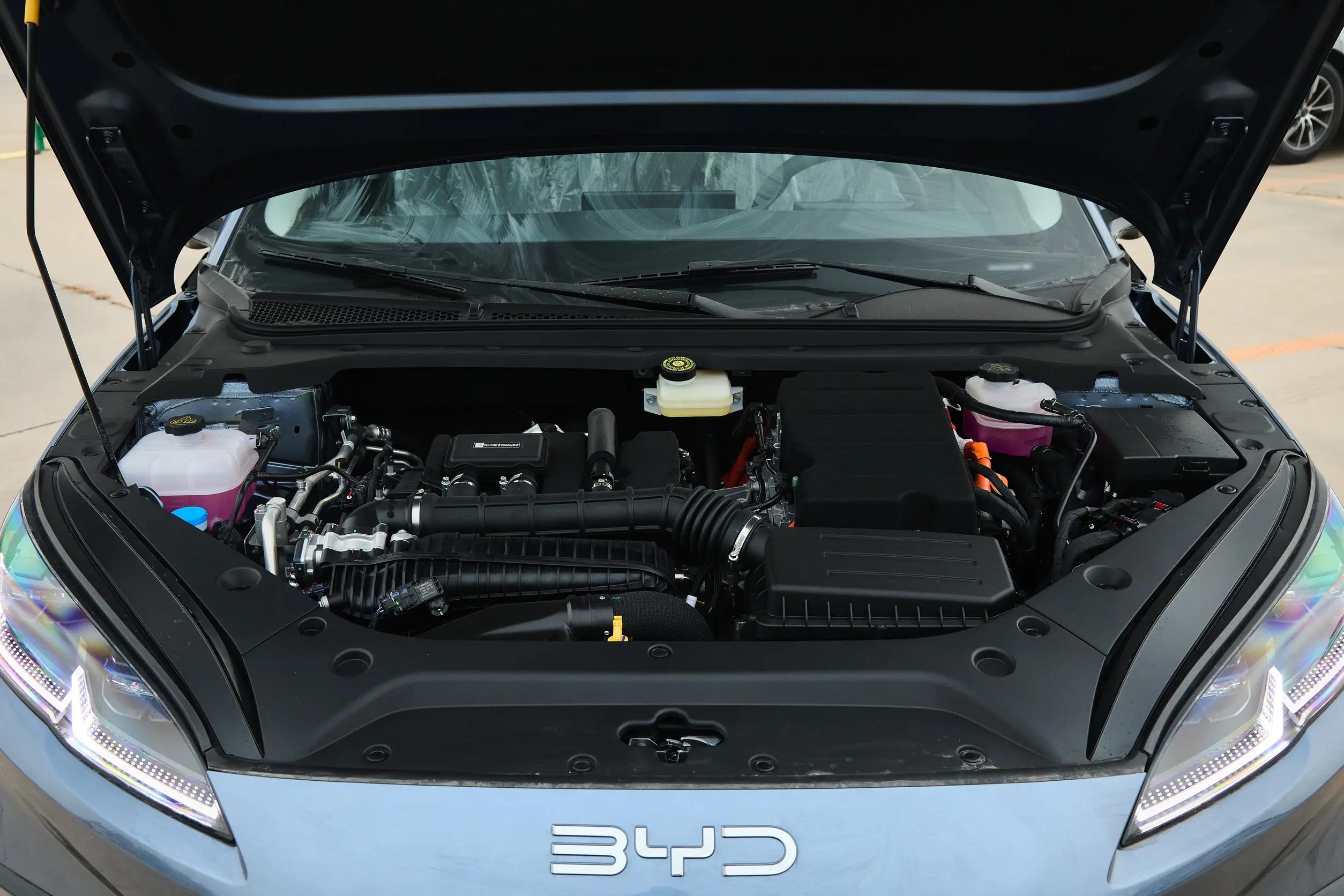 _比亚迪海豹值得等吗_比亚迪元海豚