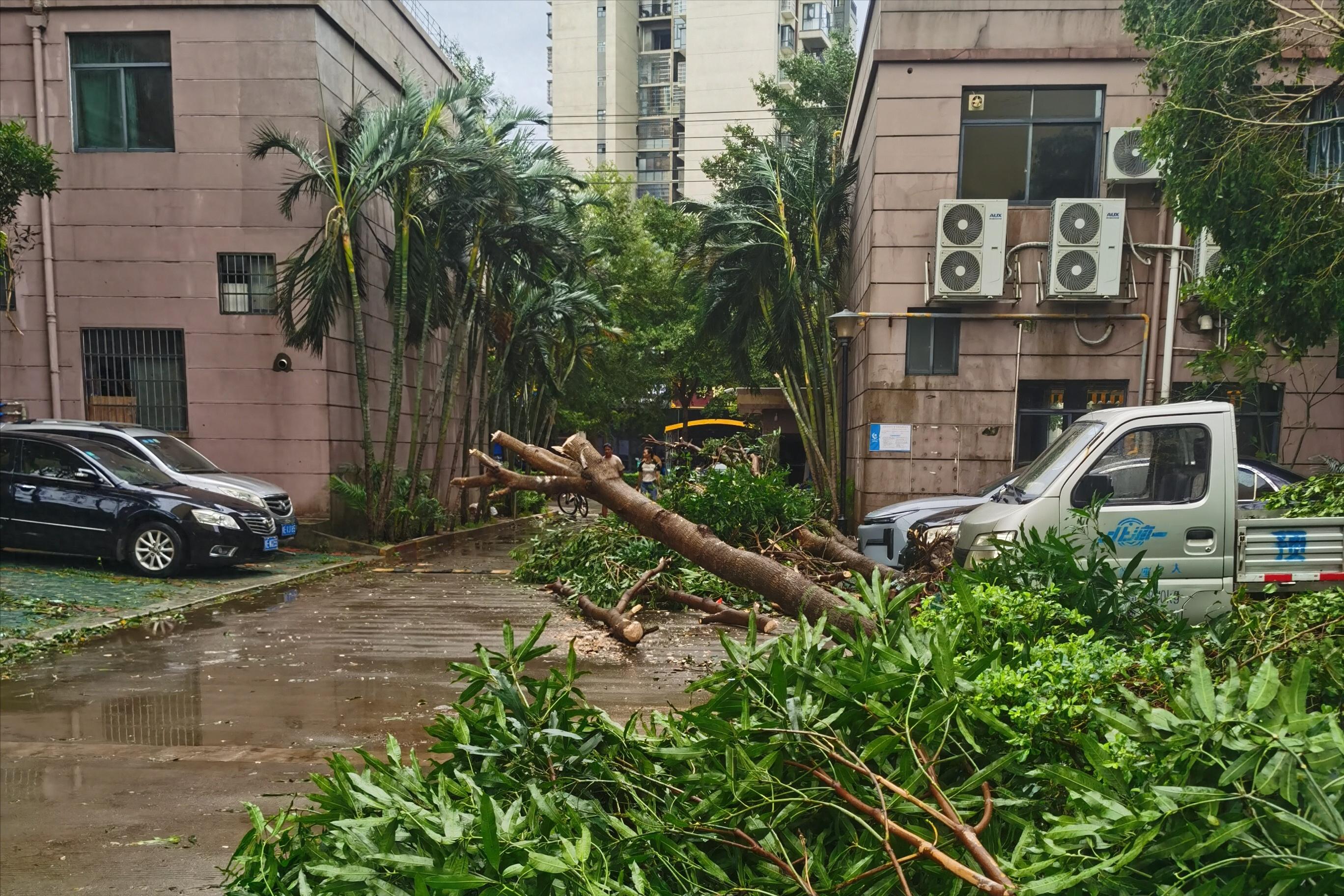 买车险诈骗手段_买车险有骗保险的吗_