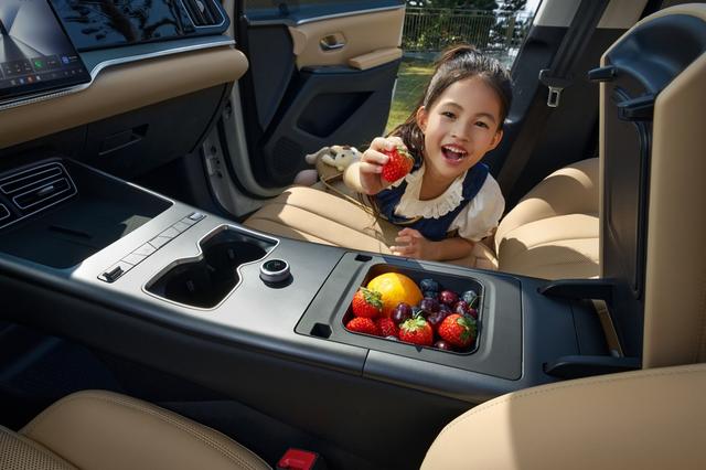 插混当纯电开 26款宋Pro DM-i纯电续航220km 限时价9.98-12.78万-有驾