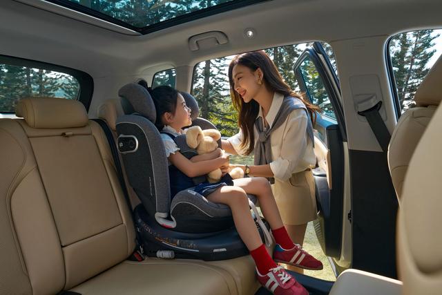 插混当纯电开 26款宋Pro DM-i纯电续航220km 限时价9.98-12.78万-有驾