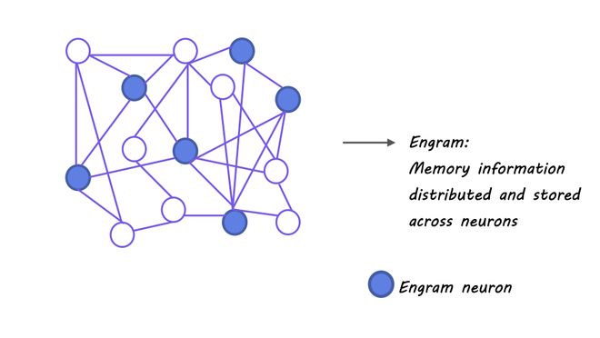 _梁文锋署名新论文,DeepSeek V4架构首曝?直击Transformer致命缺陷_梁文锋署名新论文,DeepSeek V4架构首曝?直击Transformer致命缺陷