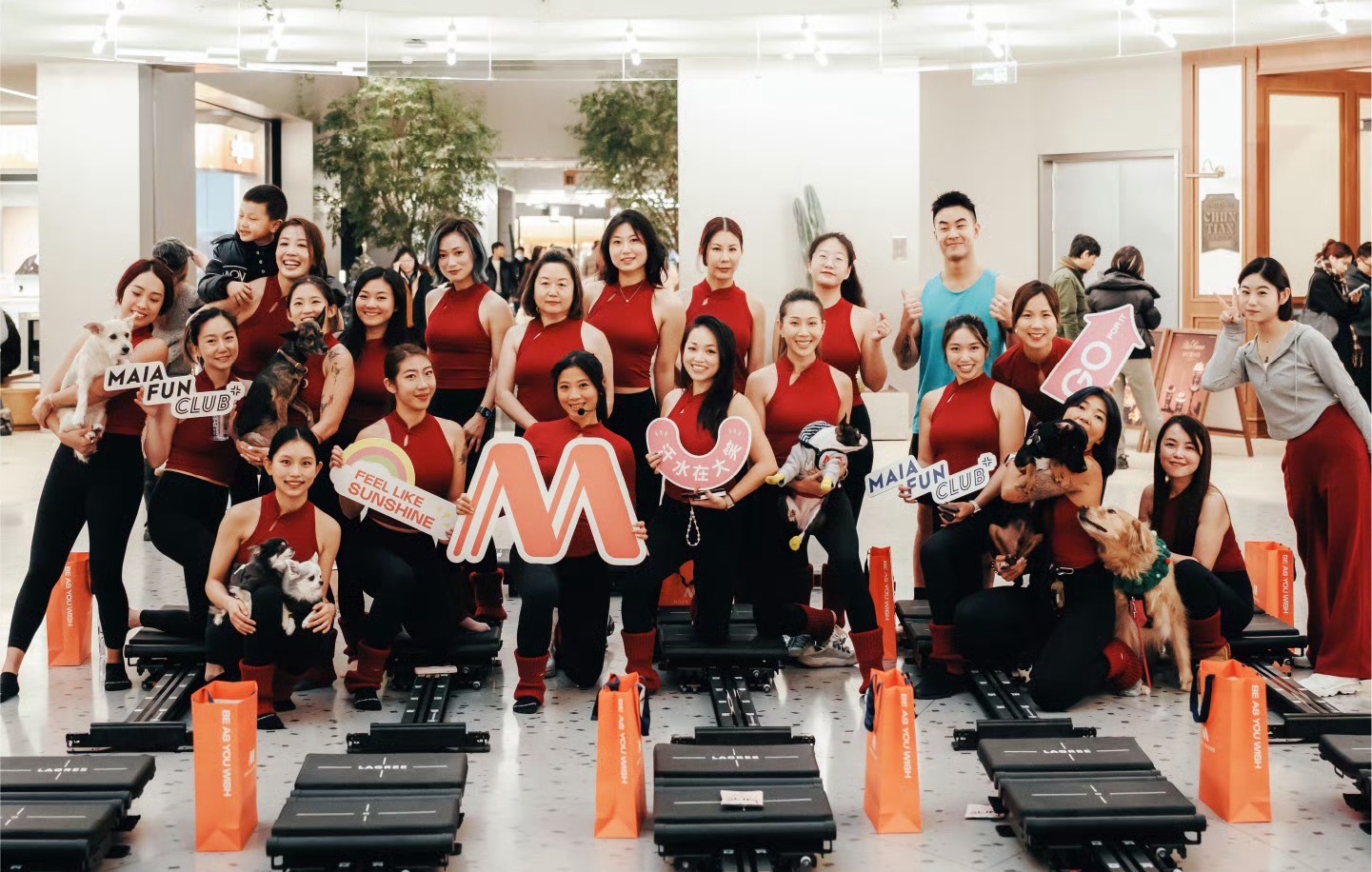 安踏少爷_安踏最帅的跑鞋_