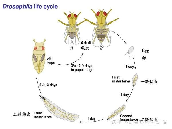 _35天，版本之子变路人甲：AI榜单太残酷！_35天，版本之子变路人甲：AI榜单太残酷！