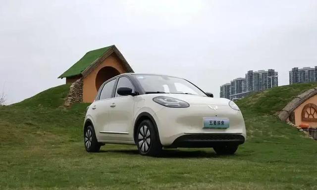 我眼中的五菱：不仅是交通工具，更是温暖的生活伙伴-有驾