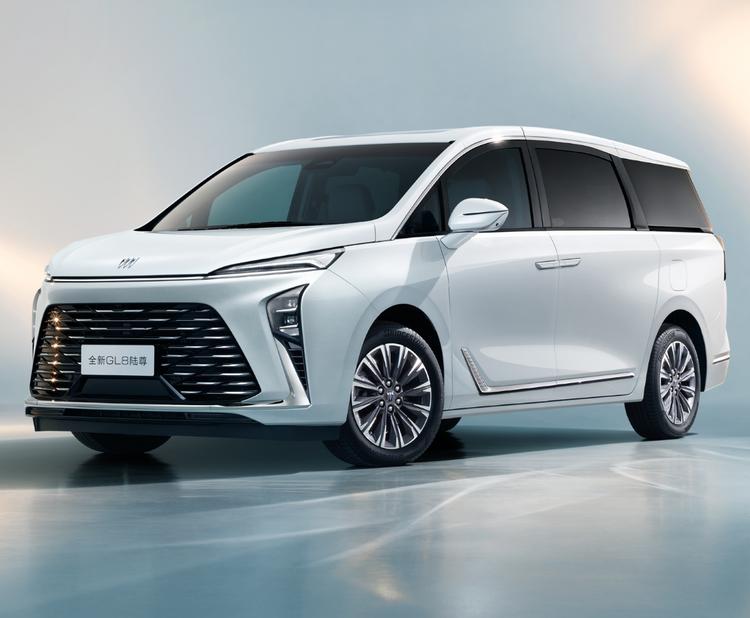 _丰田高原者_丰田高高的车