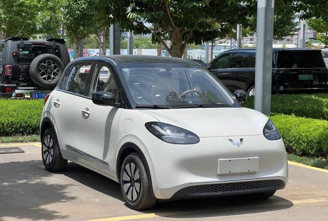 炸雷！2025最受欢迎电动车销量榜揭晓，比亚迪海鸥登顶，领先吉利星愿五菱汽车，新能源车市场迎来新格局-有驾