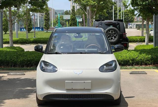 炸雷！2025最受欢迎电动车销量榜揭晓，比亚迪海鸥登顶，领先吉利星愿五菱汽车，新能源车市场迎来新格局-有驾