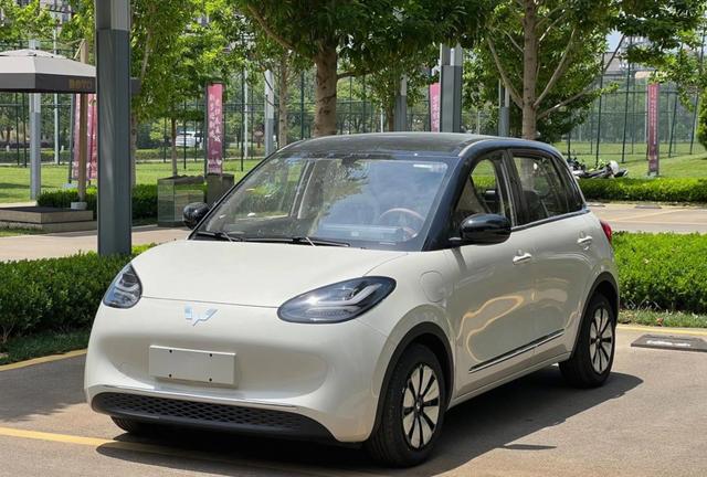 炸雷！2025最受欢迎电动车销量榜揭晓，比亚迪海鸥登顶，领先吉利星愿五菱汽车，新能源车市场迎来新格局-有驾