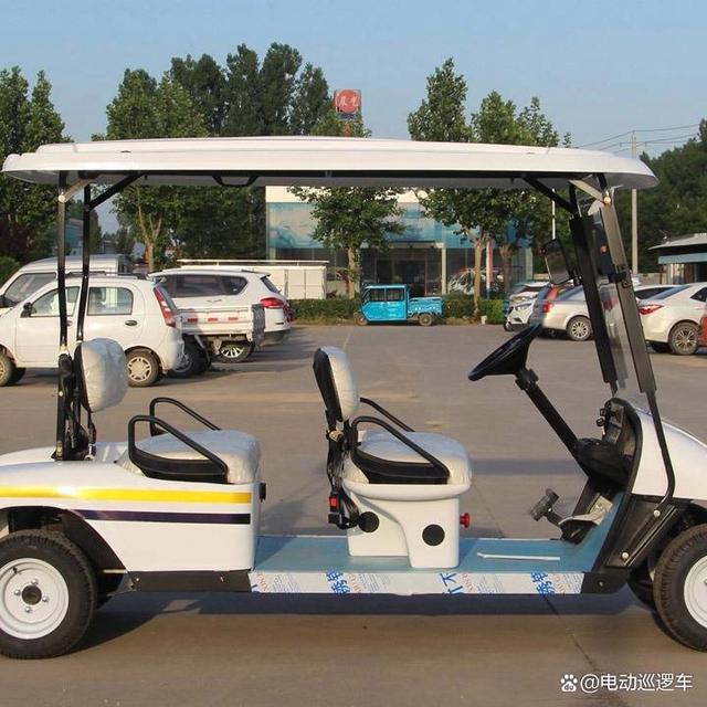 衢州汽动高尔夫球车