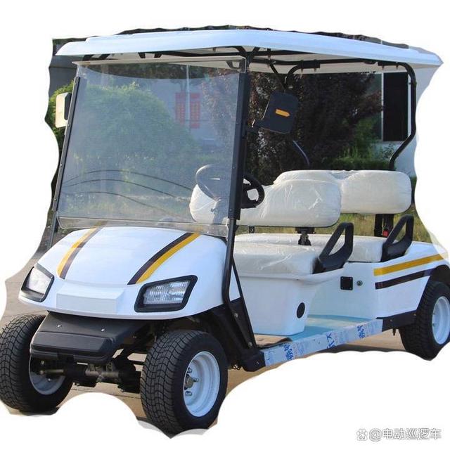 衢州汽动高尔夫球车-有驾