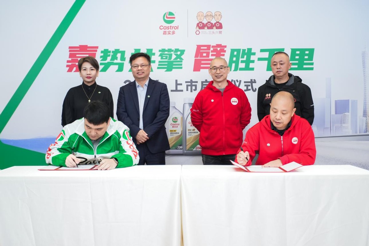 _臂杆是什么意思_臂架泵图片大全