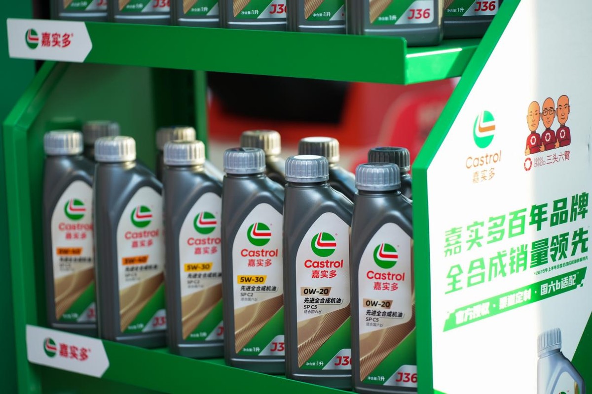 臂杆是什么意思_臂架泵图片大全_