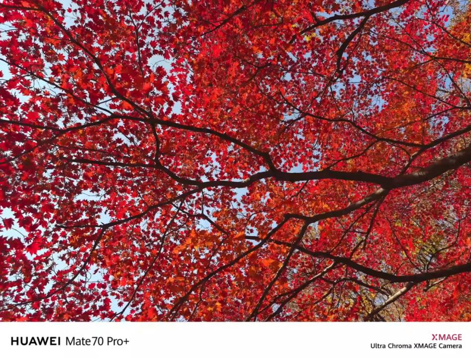 华为品牌美誉度__华为审美