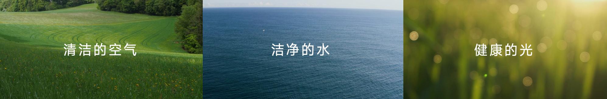 _灯火照万家是什么生肖_灯火照万家打一生肖