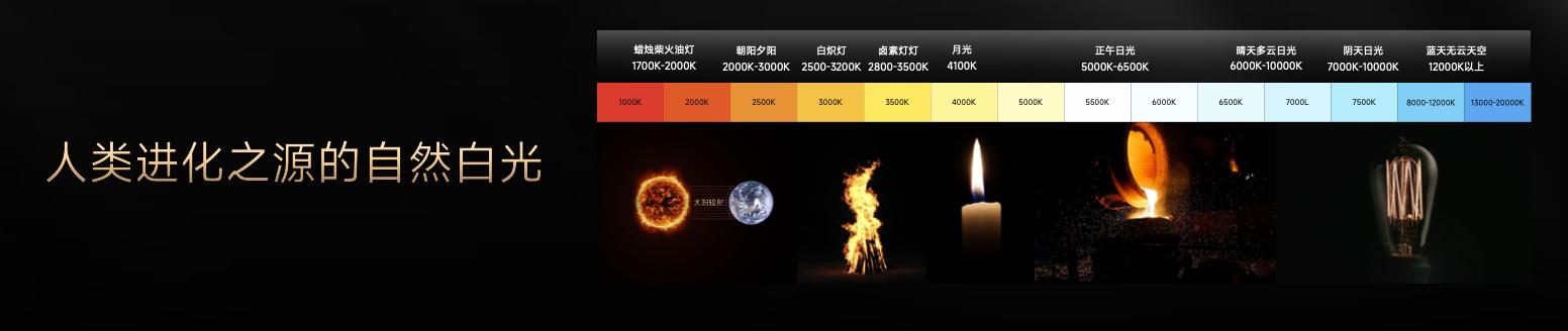 灯火照万家打一生肖_灯火照万家是什么生肖_