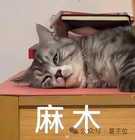 大模型API的大众点评来了:7×24小时实测,毫秒级延迟智能路由