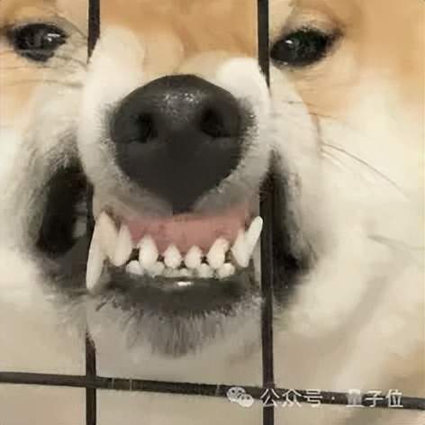 _大模型API的大众点评来了：7×24小时实测，毫秒级延迟智能路由_大模型API的大众点评来了：7×24小时实测，毫秒级延迟智能路由